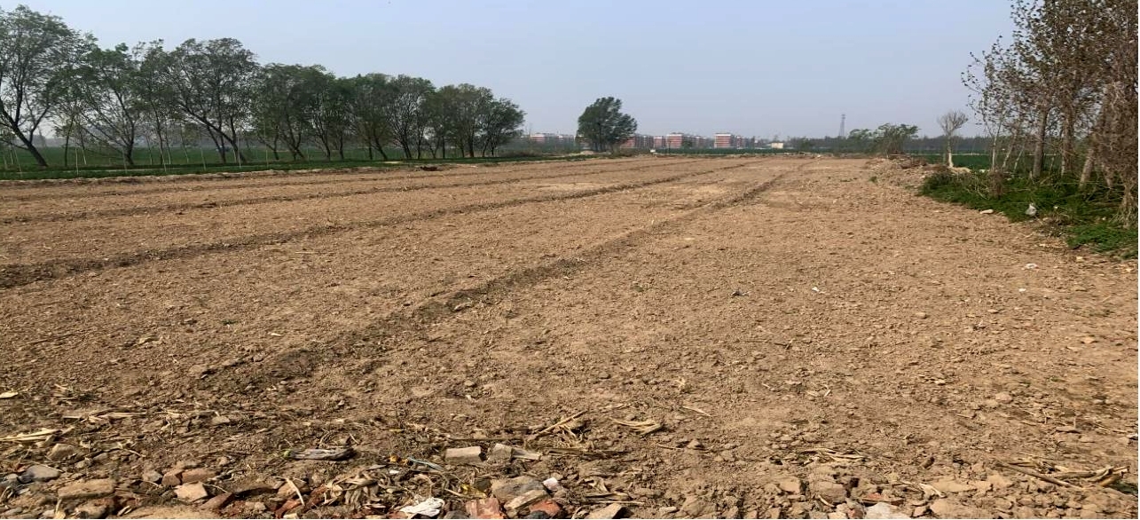 农发行德州市分行擦亮“农地银行”品牌献礼百年华诞