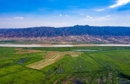 宁夏推动“林草湿沙”生态综合监测一体化