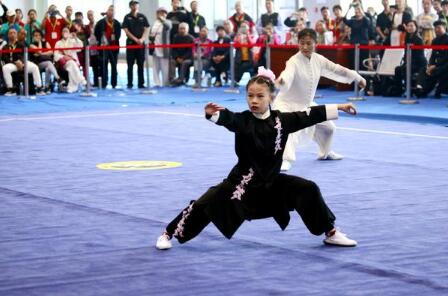 河南“出新招”打造武术产业强省