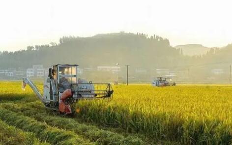 农业农村部印发《关于加快发展农业社会化服务的指导意见》