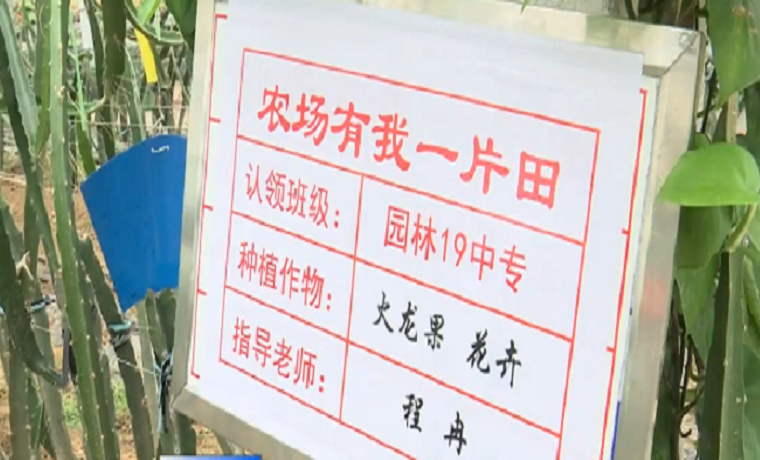 济宁21所职业院校成高素质技能人才“摇篮地”