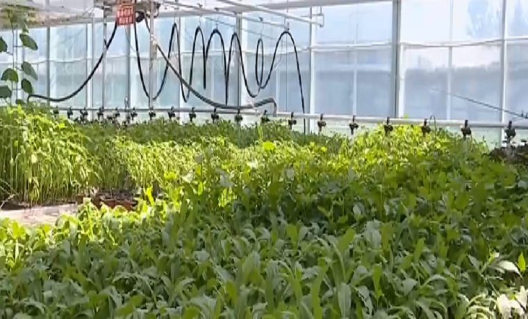 挂图作战丨济宁这个省级乡村振兴重点项目“奋战”正酣