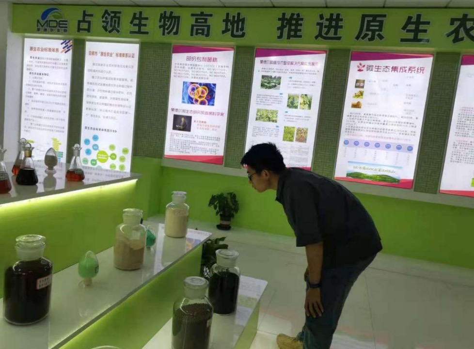 河北大学大学生赴山东进行乡村振兴社会实践活动