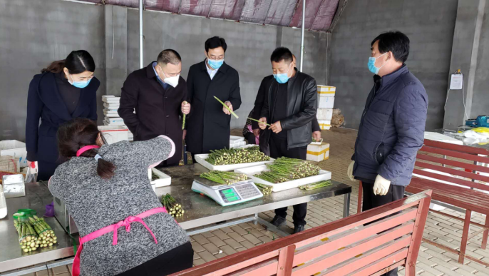 沂源农行：“背包银行”托起山区致富梦