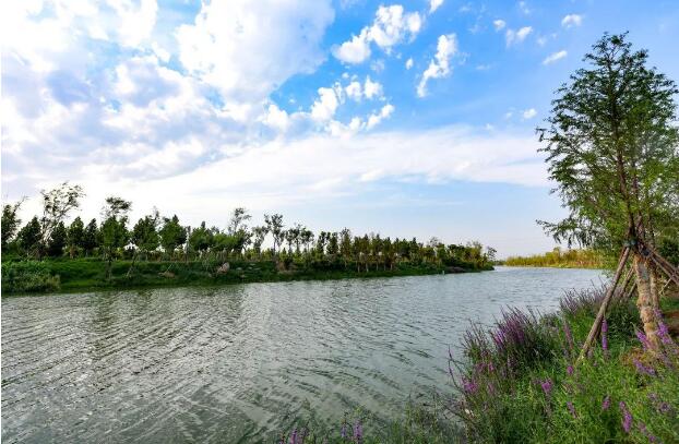 河北：实施“五大行动” 推进河湖保护治理