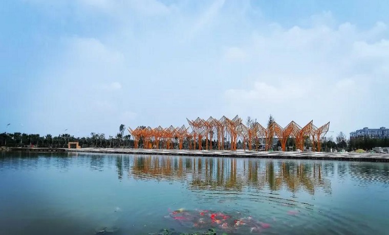 乡村振兴路正宽 ！新华网点赞济宁金乡“万名干部下基层”