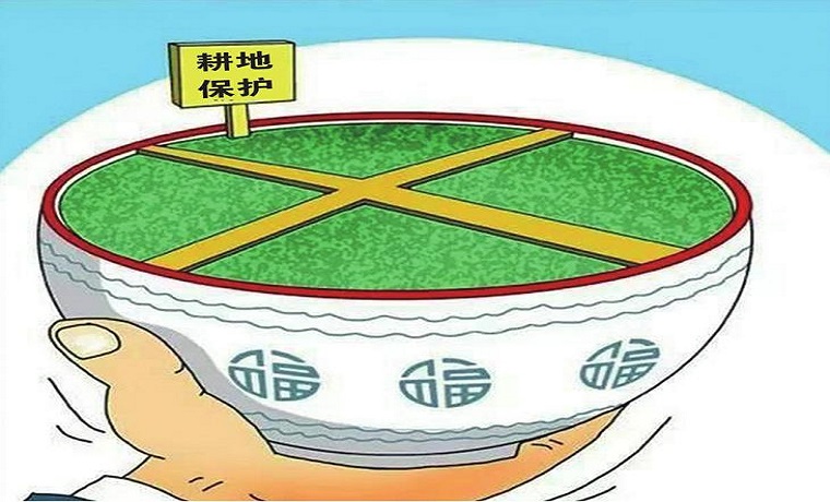 济宁泗水县推行耕地保护“田长制” 建立耕地保护全链条监管机制