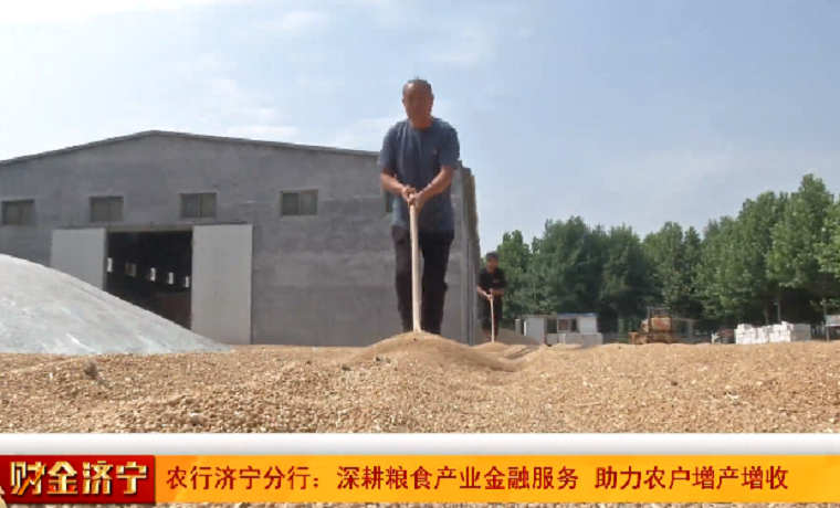 农行济宁分行做好粮食产业链各环节金融服务 种粮大户“笑开颜”