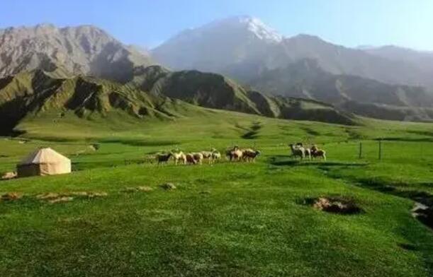 青海省草原综合植被盖度达到57.4% 生态功能不断增强