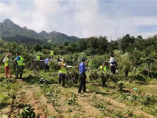 青岛市北区开展浮山北麓区域综合整治行动