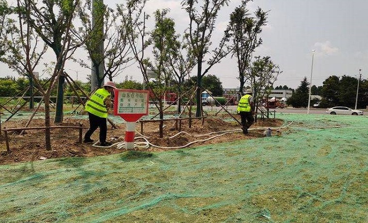 初见成效，济宁宁安大道内环高架高新区段绿化进行中