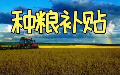 安徽种粮农民开领“一次性补贴”