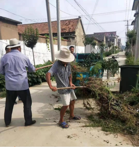 【我为群众做好事】兰陵县南桥镇：党员干部奋力投身乡村建设
