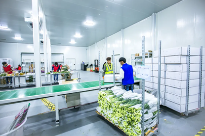 花点时间鲜花供应链，成行业亮点