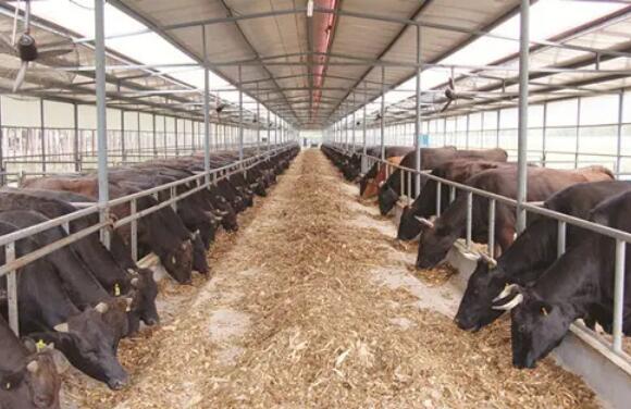 云南：上半年畜牧业生产总体呈快速发展良好态势