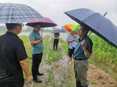 兰陵县自然资源和规划局加强汛期地质灾害督导检查