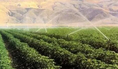 贵州加快构建现代农业发展体系