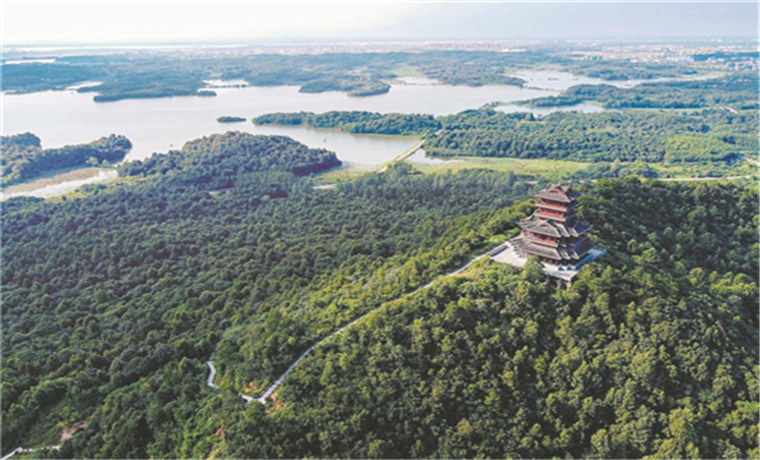 “城市绿肺”沁人心