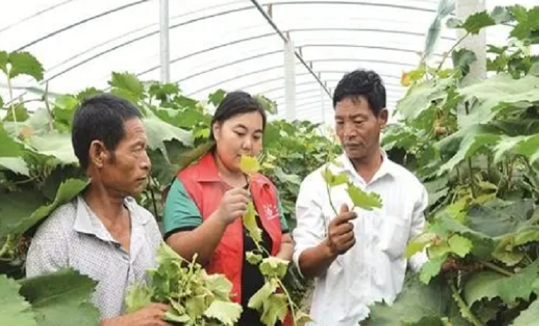 济宁邹城市：用心学党史 真心办实事