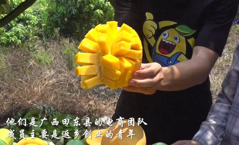 电商直播助力“中国芒果之乡”产业发展