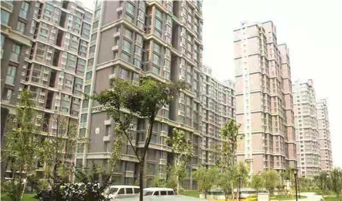 青岛意合园物业 “四千”精神构建美好家园