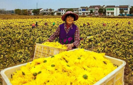 县乡村联动 加强县域商业体系建设