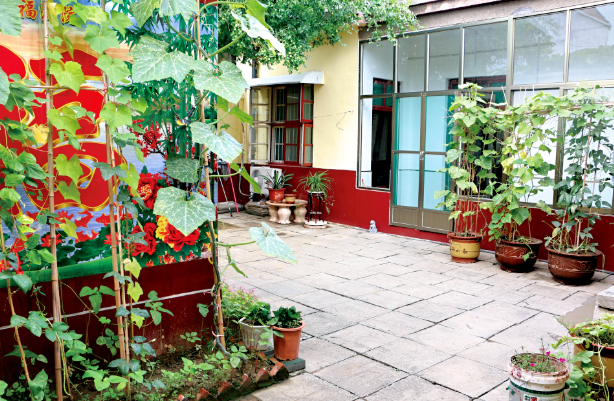 盛夏时节,行走在济宁任城区广阔农村,乡村风景犹如一幅幅徐徐展开的