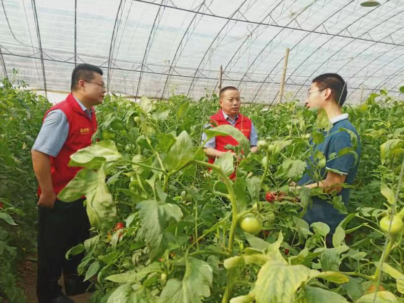 寿光农商银行：寿光人民自己的银行