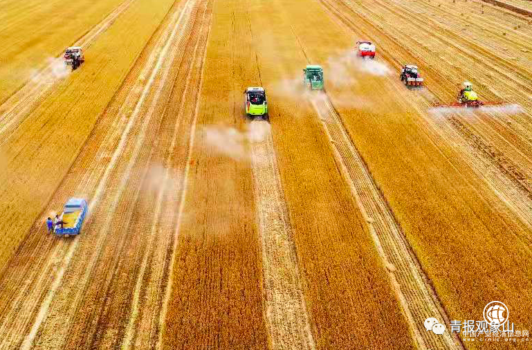 促进共同富裕！这次全体会议顶格部署，加快建设乡村振兴齐鲁样板先行区！