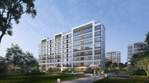 善待你一生 细说龙民幸福密码 