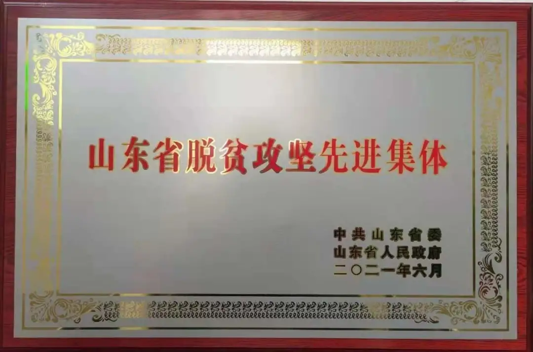 如你所见，当前大柳朝气蓬勃，活力无限