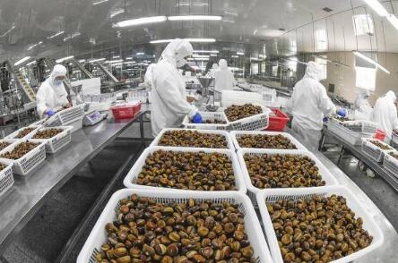 山西选出11个年度农产品精深加工十大产业集群优势区