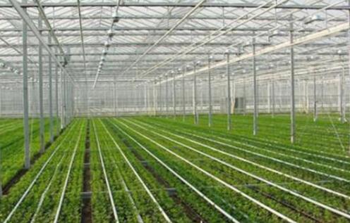 探索数字乡村发展新模式 江苏阜宁创新打造“151智慧农业工程”