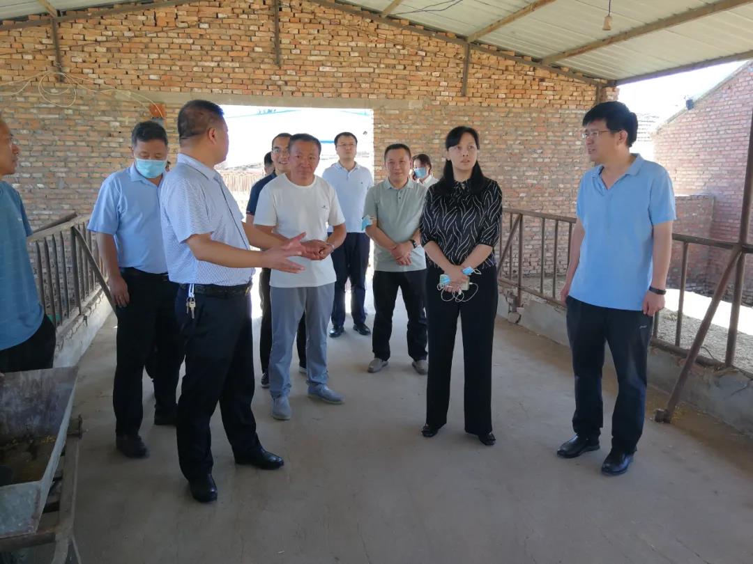 李佳芮到德州运河新区督导生态环境保护工作