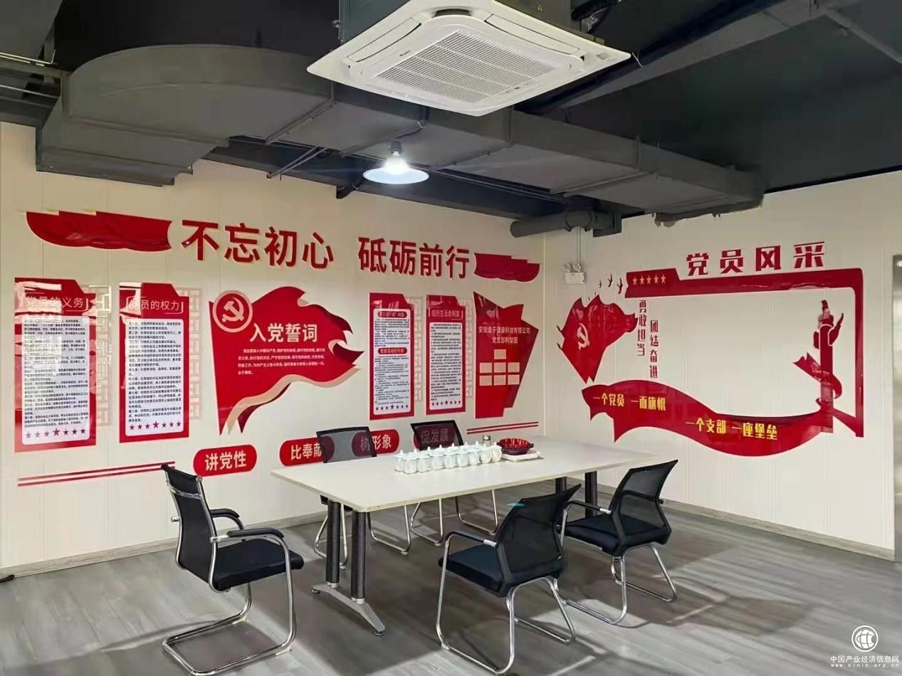 不忘初心，砥砺前行：安徽盒子健康科技有限公司党支部正式成立