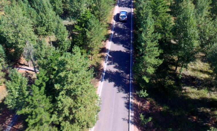 内蒙古构建“一线一区两带”林草生态保护修复格局