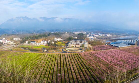 乡村蝶变 湖北罗田打造乡村振兴新样板