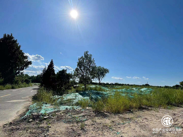 拆除后的七棵树高尔夫球场