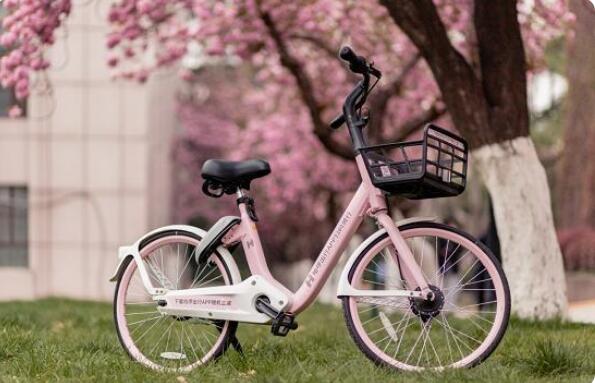 哈啰校园车服务超1000所高校 首推校园智慧三位一体解决方案