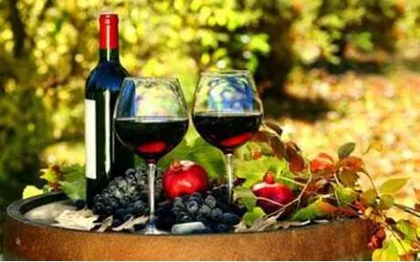 宁夏葡萄酒产业快速发展助农民增收