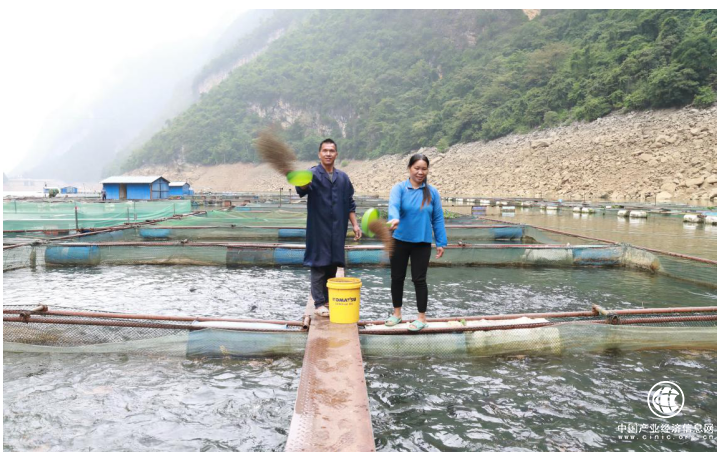 中和农信 ：扎根边疆助振兴，普惠金融促共富