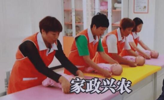 当家政服务遇上乡村振兴——读懂家政兴农的深意与前景