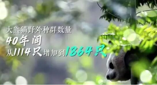 生物多样性保护的中国答卷