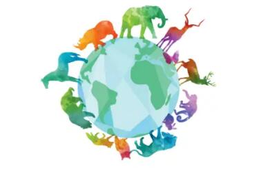 生物多样性大会生态文明论坛发出保护全球生物多样性倡议