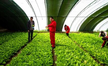 帮扶资金超2亿元 援建项目450余个 中国石油多措并举因地制宜推进乡村振兴