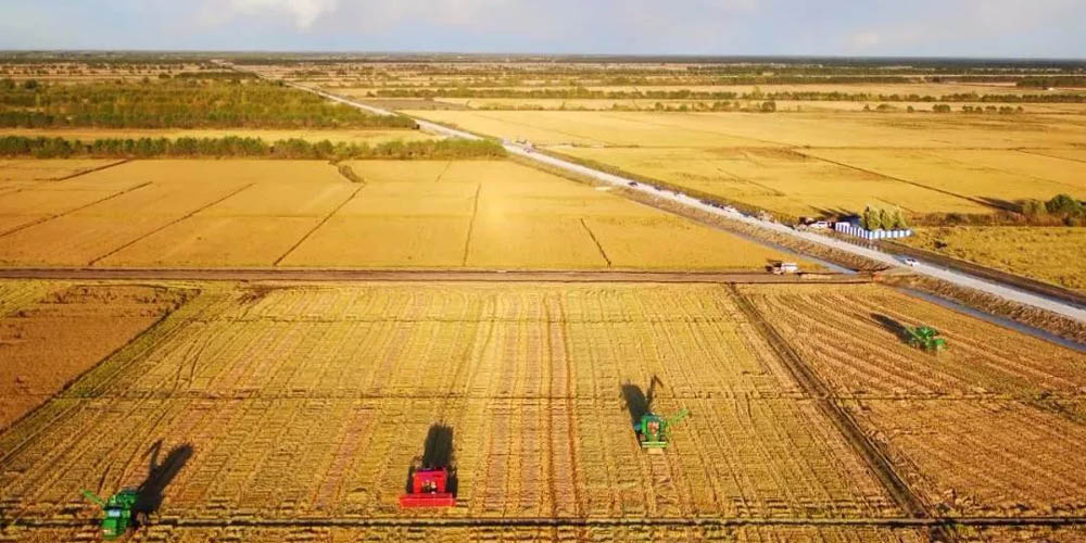 “十四五”时期，我国粮食综合生产能力持续提升——中国饭碗端得更稳