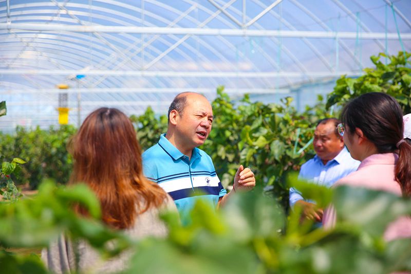 从“果农代言人”到“老杨会客厅” ——记中国产业集聚研究专家杨建国