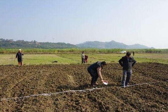 科技助农 全国冬小麦播种进度过九成