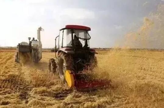 机收稻秸秆全量还田关键技术取得新突破