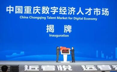 我国首家数字经济人才市场揭牌成立